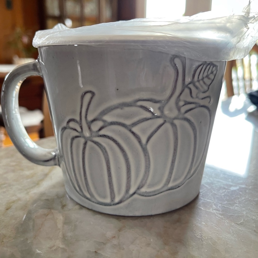 NWT Pumpkin Soup Mug